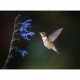 Длиннофокусный объектив Sony SEL200600G 200-600 mm f/5.6-6.3 G OSS