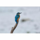 Длиннофокусный объектив Sony SEL200600G 200-600 mm f/5.6-6.3 G OSS