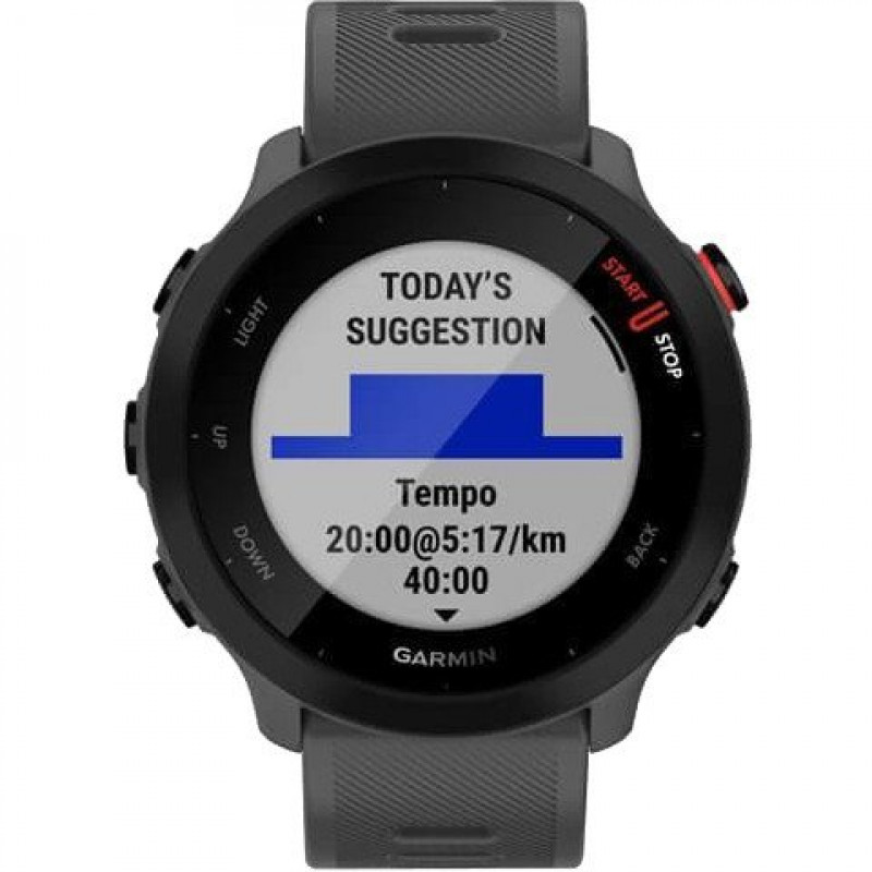 Спортивний годинник Garmin Forerunner 55 Monterra Grey (010-02562-13)