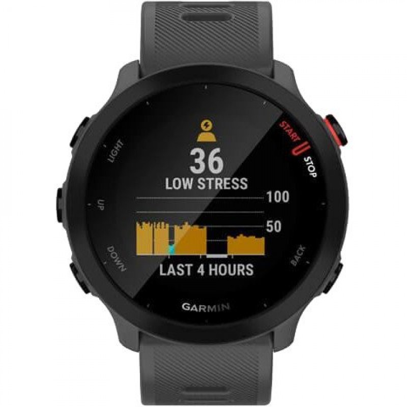 Спортивний годинник Garmin Forerunner 55 Monterra Grey (010-02562-13)
